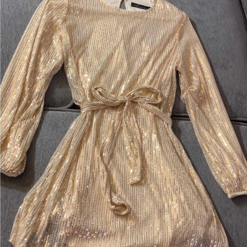 Long Sleeve Sequin Belted Dress in Gold